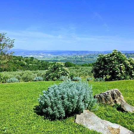 Agriturismo Podere Prataccio Grosseto Ngoại thất bức ảnh