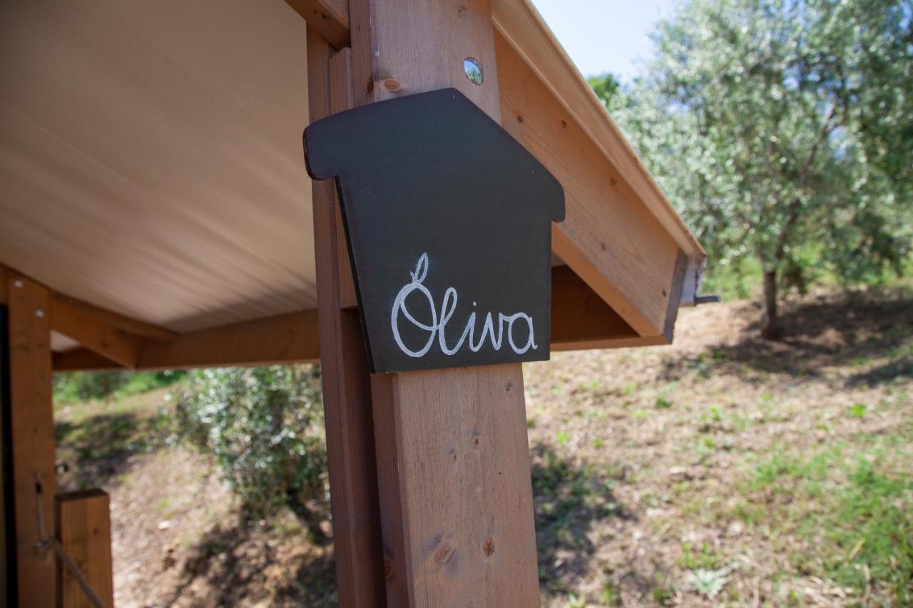 Agriturismo Podere Prataccio Grosseto Ngoại thất bức ảnh