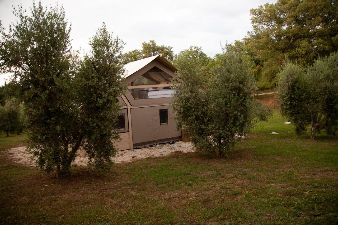 Agriturismo Podere Prataccio Grosseto Ngoại thất bức ảnh