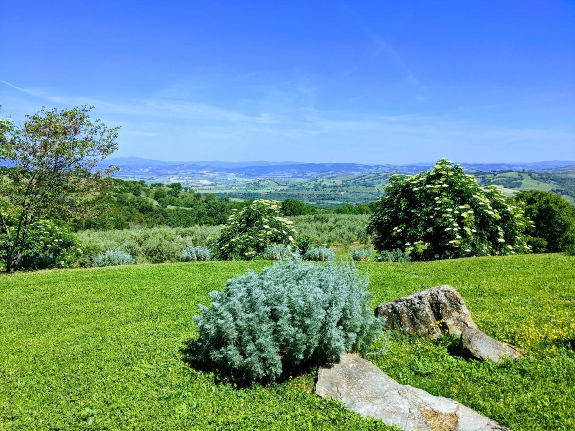 Agriturismo Podere Prataccio Grosseto Ngoại thất bức ảnh